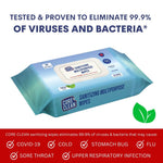 Wipes Core Clean Sanitizing Pouch  80 Wipes
