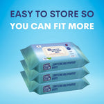 Wipes Core Clean Sanitizing Pouch  80 Wipes