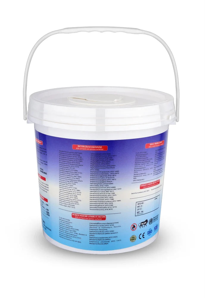 Core Clean Gym Vibes Tub(00)