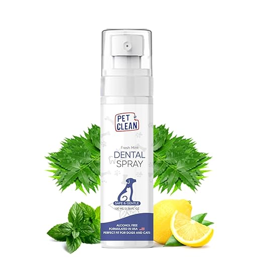 Dental Spray
