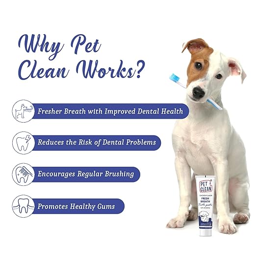 Pet Clean Pet Toothpaste-00