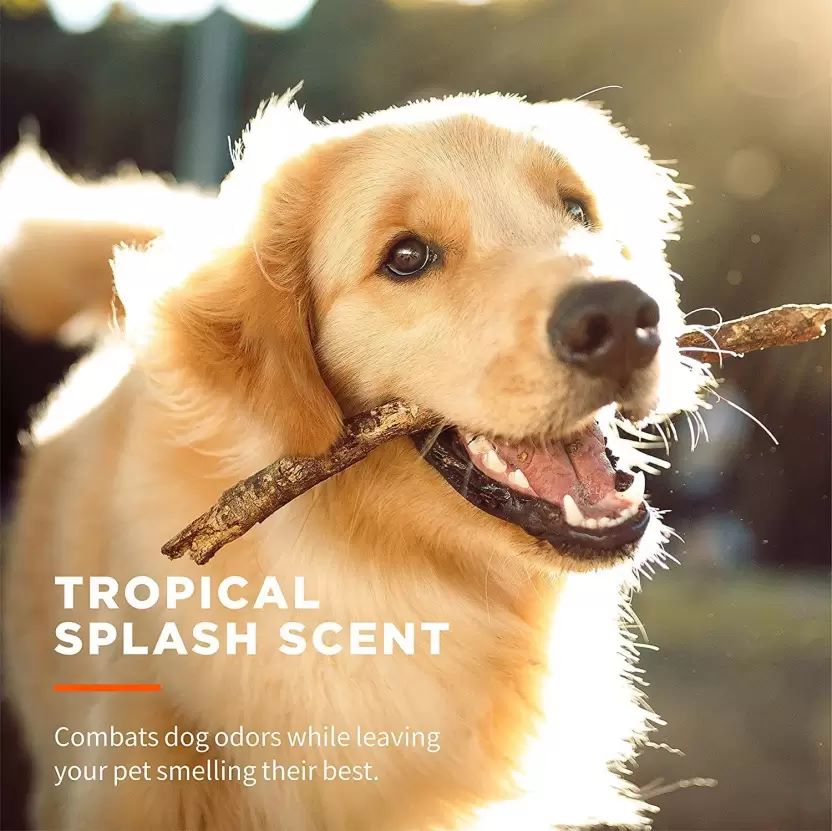 Pet Grooming Wipes01