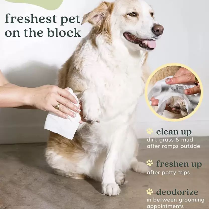 Pet Grooming WipesCCPG50