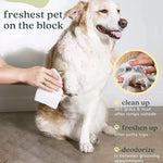 Pet Clean Grooming Wipes For Cats & Dogs