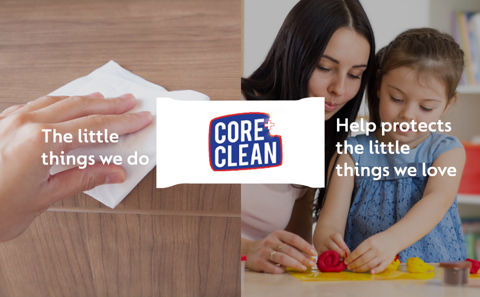 Wipes Core Clean Sanitizing Pouch  80 Wipes